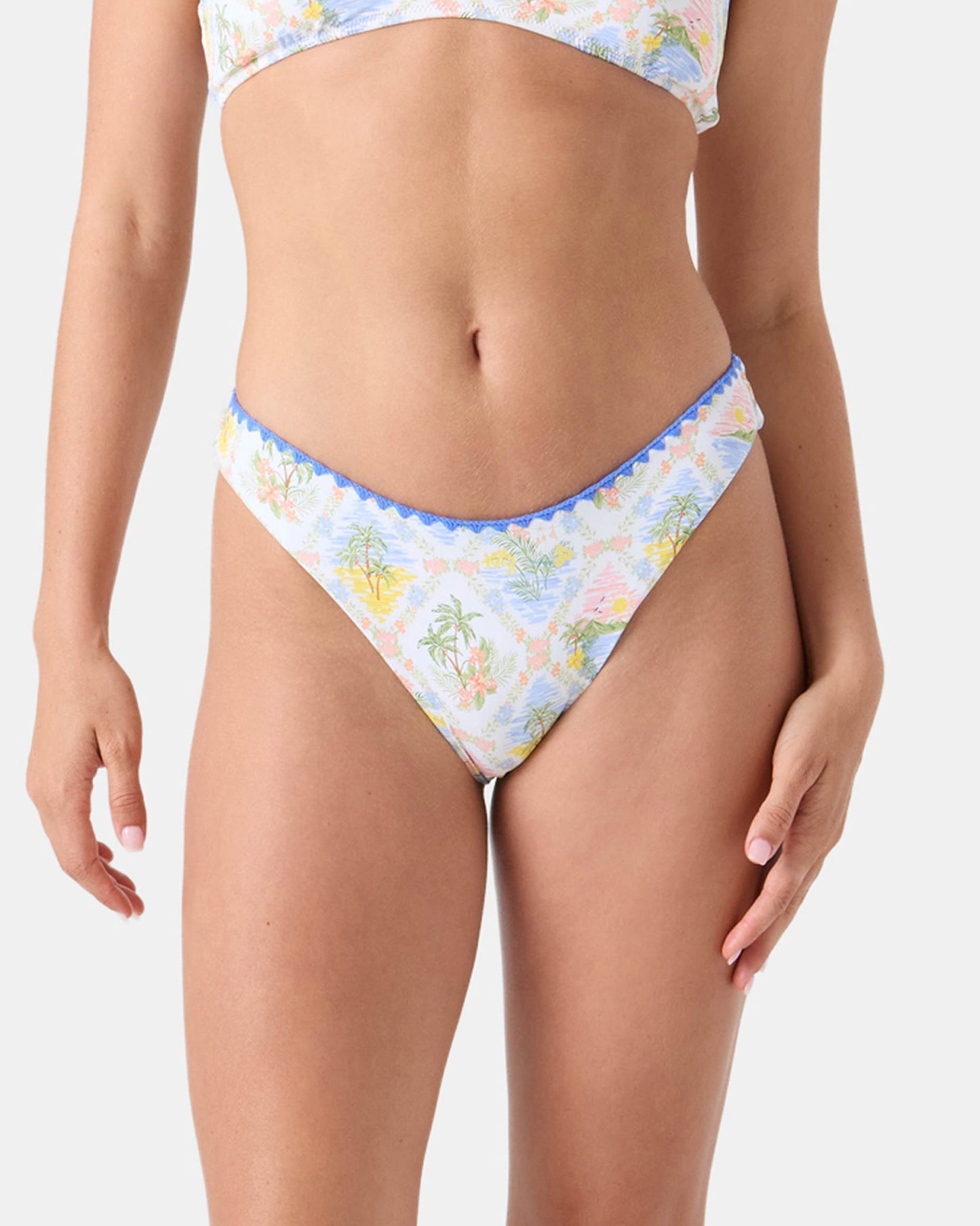 Catch My Drift Scoop Cheeky Bikini Bottom